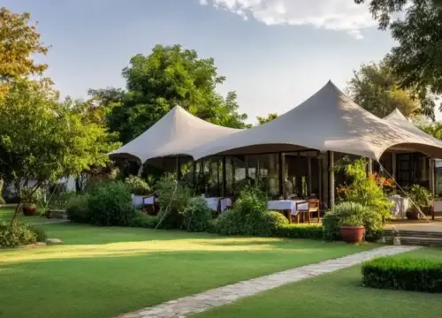 Finding My Wild Heart: Why Mtalii Bushcamps Feels Like Coming Home