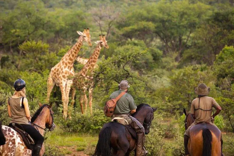Nanyuki